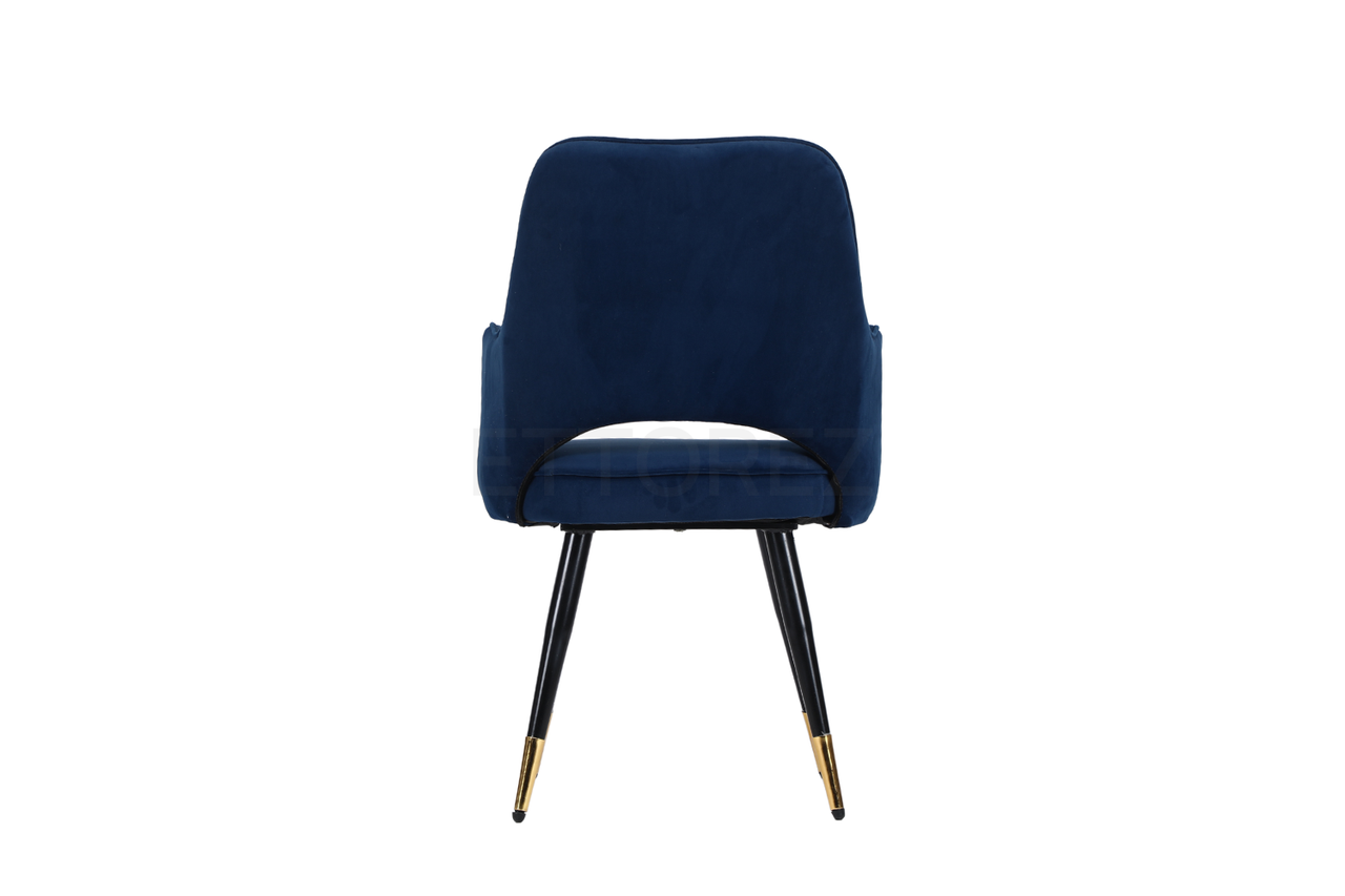 Ettorez ELEGANCE-BLUE Modern/Unique Bedroom Accent Chair - ComfyFusion