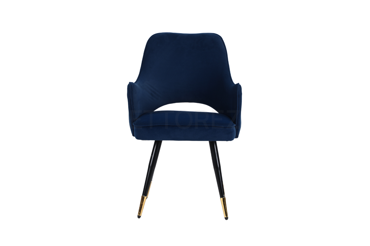 Ettorez ELEGANCE-BLUE Modern/Unique Bedroom Accent Chair - ComfyFusion