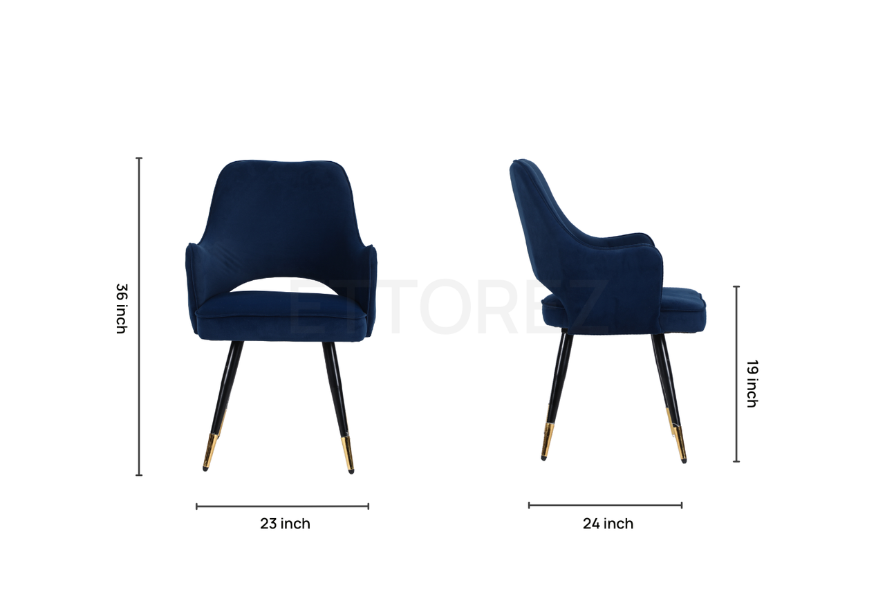 Ettorez ELEGANCE-BLUE Modern/Unique Bedroom Accent Chair - ComfyFusion