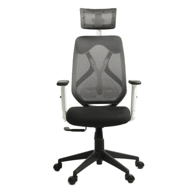 LUKANO High Back Ergonomic Office Chair