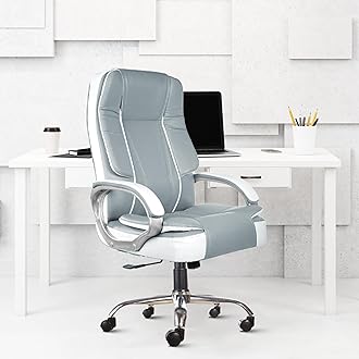 Designer Chairs® SpaceX Leatherette Executive High Back Revolving Office Chair (Grey & White)