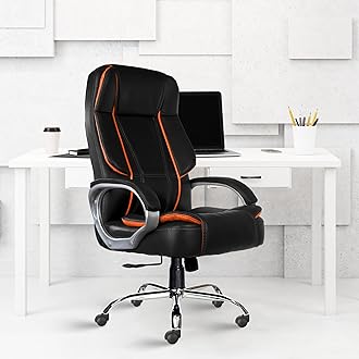 Designer Chairs Modern Ergonomic Office Chair (Nylon , Multicolor)